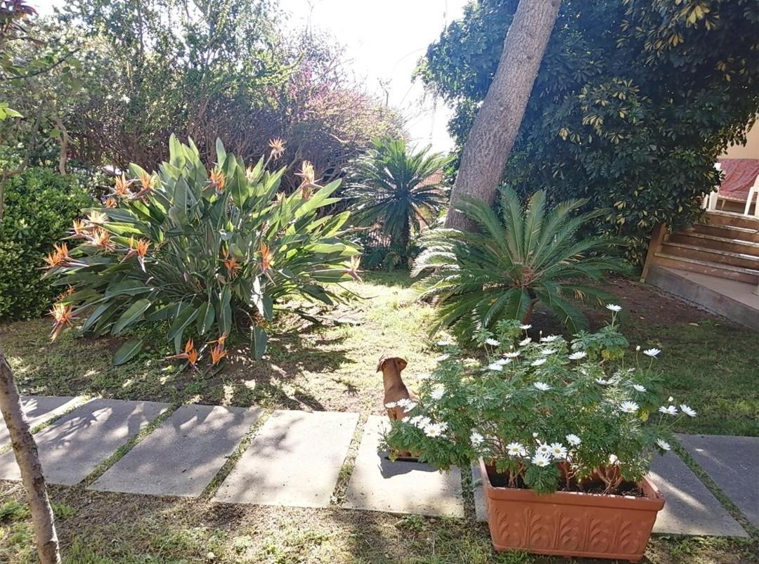 Luis&Susy Home, Cagliari Ngoại thất bức ảnh