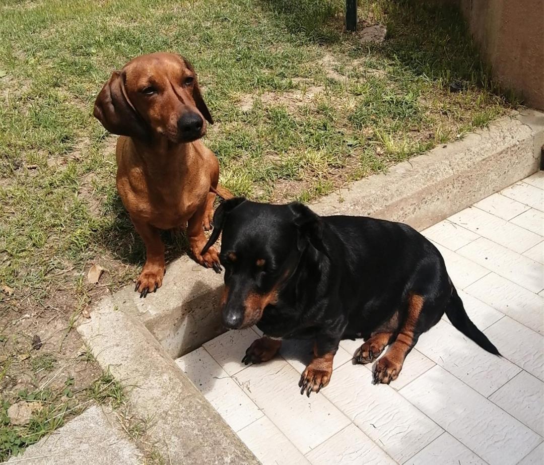 Luis&Susy Home, Cagliari Ngoại thất bức ảnh